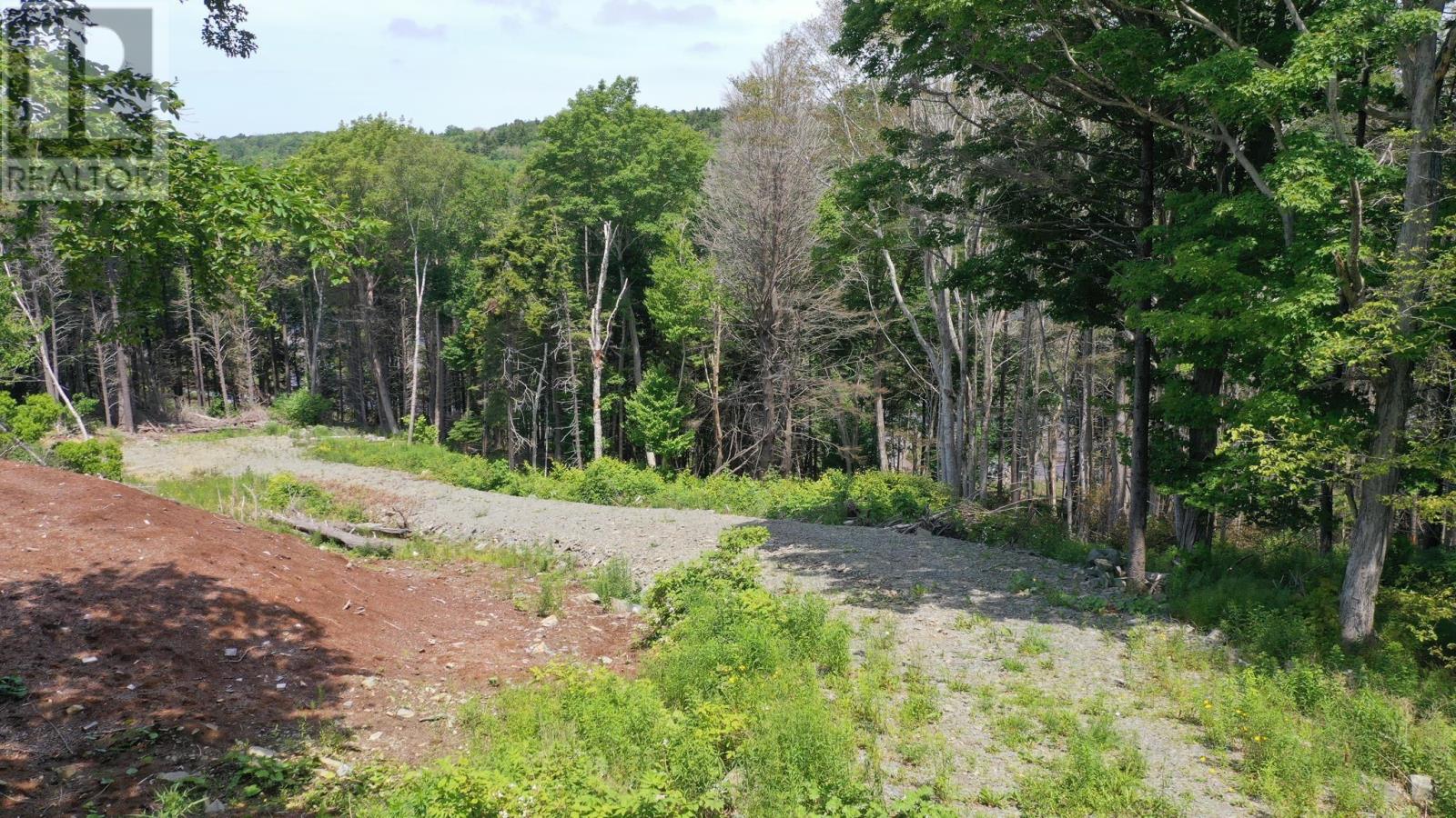 Weymouth Falls Road, Weymouth Falls, Nova Scotia  B0W 3T0 - Photo 19 - 202504911