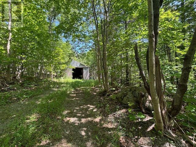 Weymouth Falls Road, Weymouth Falls, Nova Scotia  B0W 3T0 - Photo 22 - 202504911