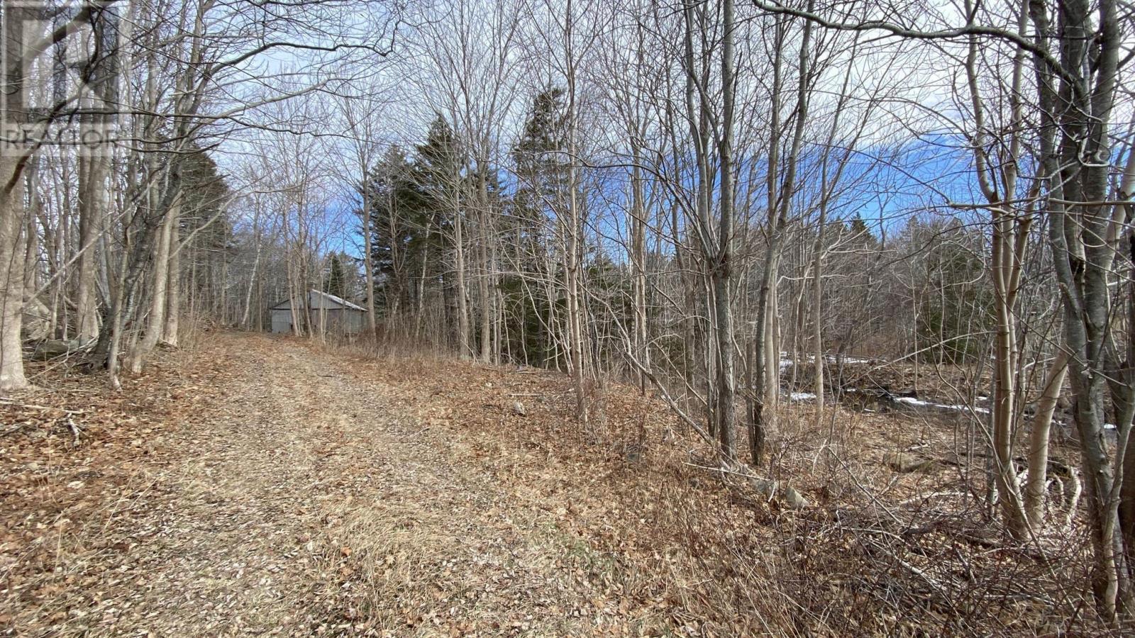 Weymouth Falls Road, Weymouth Falls, Nova Scotia  B0W 3T0 - Photo 28 - 202504911