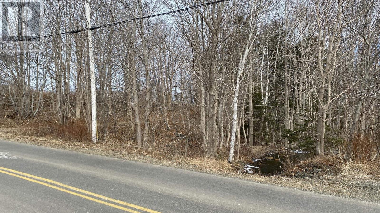 Weymouth Falls Road, Weymouth Falls, Nova Scotia  B0W 3T0 - Photo 30 - 202504911