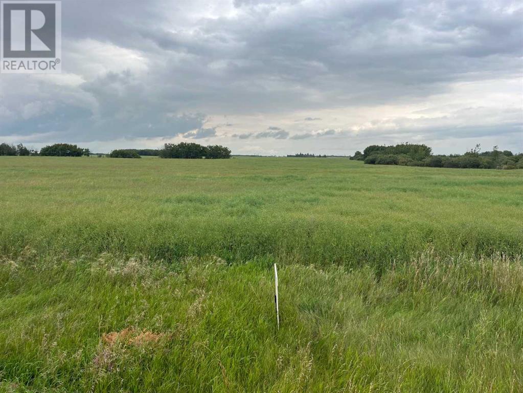 316 Niblock Street, Bawlf, Alberta  T0B 0J0 - Photo 2 - A2076409
