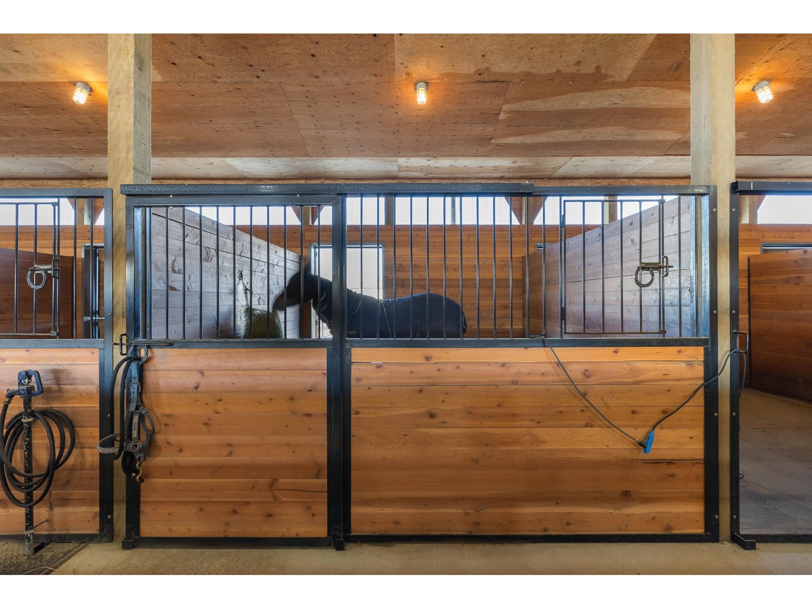 2473 240 Street, Langley, British Columbia  V2Z 3B6 - Photo 8 - R2970892