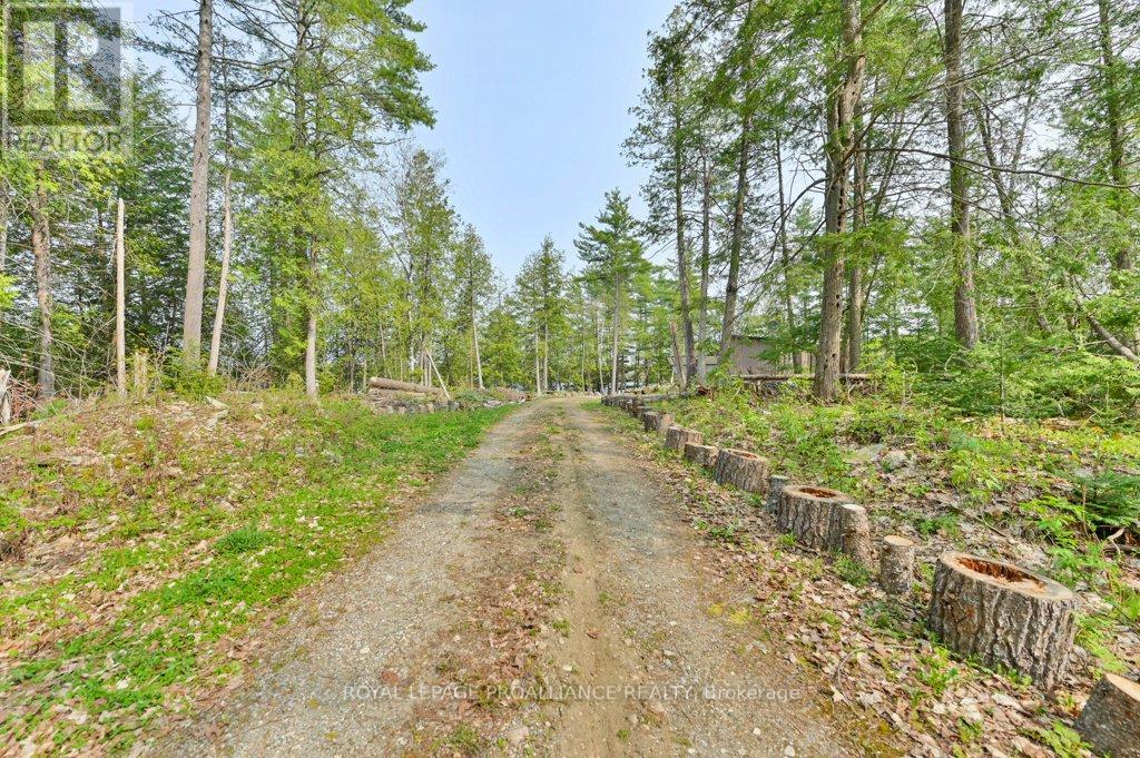 1008b Gordie Lane, North Frontenac, Ontario  K0H 2J0 - Photo 2 - X12019806