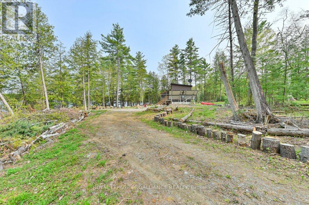 1008b Gordie Lane, North Frontenac, Ontario  K0H 2J0 - Photo 3 - X12019806