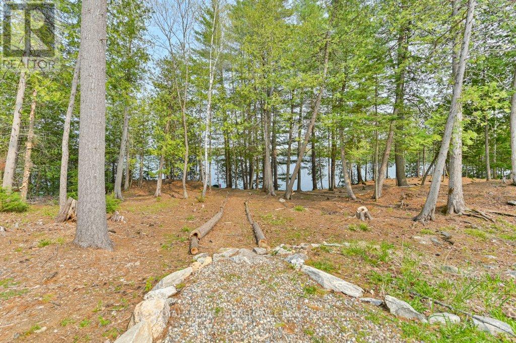 1008b Gordie Lane, North Frontenac, Ontario  K0H 2J0 - Photo 33 - X12019806