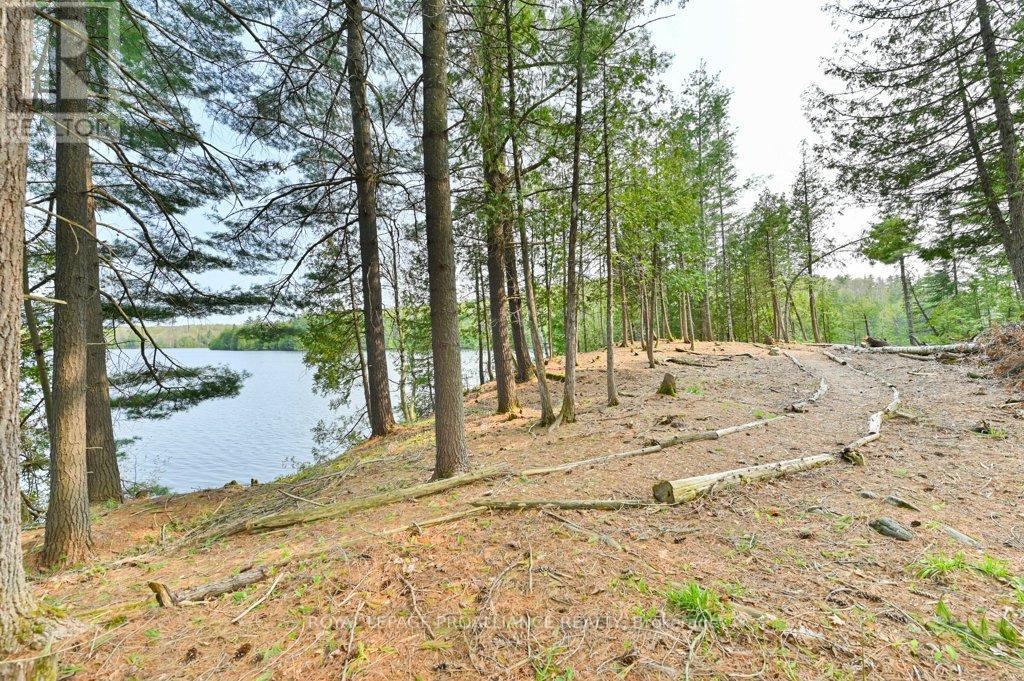 1008b Gordie Lane, North Frontenac, Ontario  K0H 2J0 - Photo 35 - X12019806