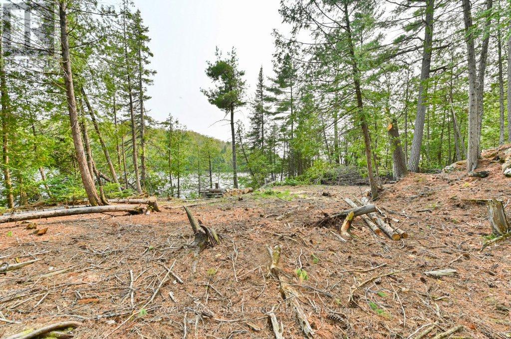 1008b Gordie Lane, North Frontenac, Ontario  K0H 2J0 - Photo 37 - X12019806
