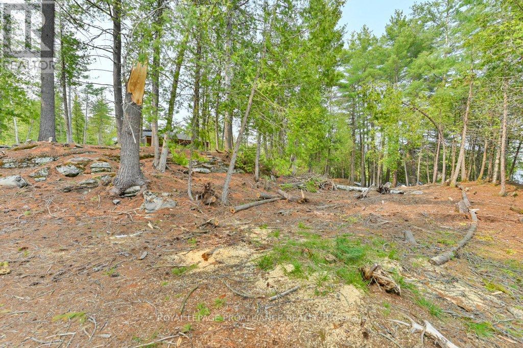 1008b Gordie Lane, North Frontenac, Ontario  K0H 2J0 - Photo 38 - X12019806