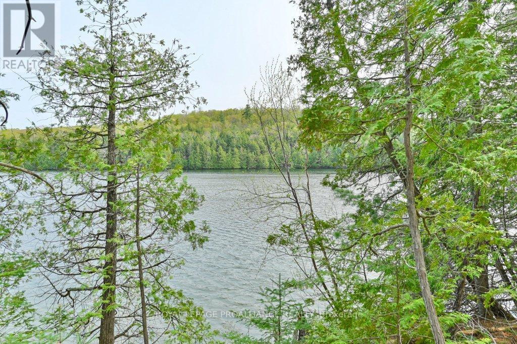 1008b Gordie Lane, North Frontenac, Ontario  K0H 2J0 - Photo 39 - X12019806