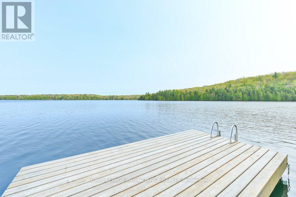 1008b Gordie Lane, North Frontenac, Ontario  K0H 2J0 - Photo 41 - X12019806