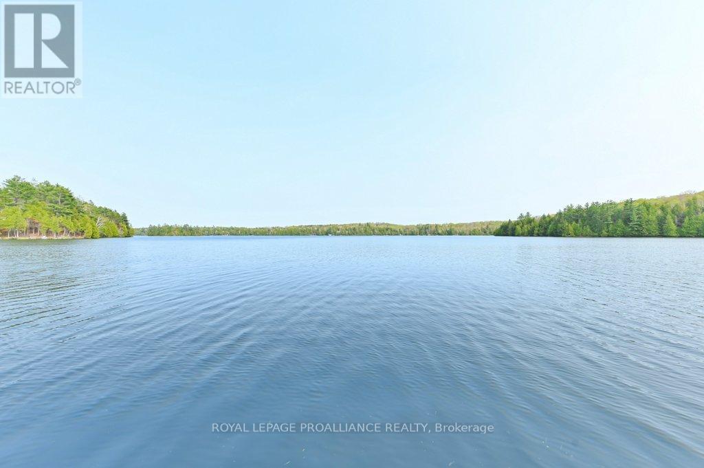 1008b Gordie Lane, North Frontenac, Ontario  K0H 2J0 - Photo 42 - X12019806
