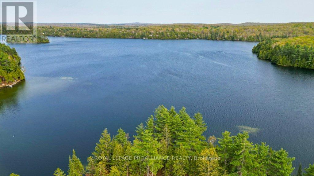 1008b Gordie Lane, North Frontenac, Ontario  K0H 2J0 - Photo 48 - X12019806