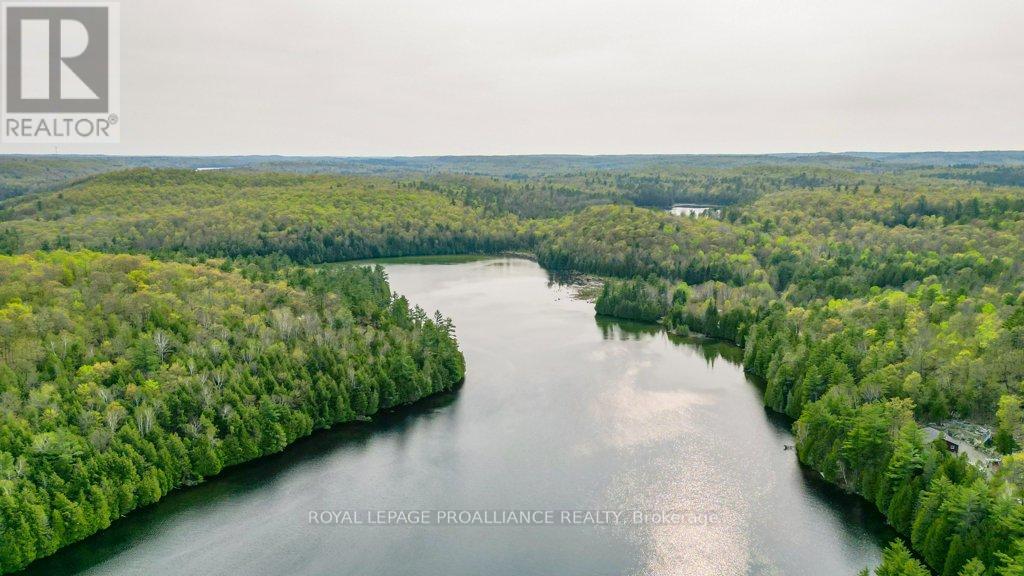 1008b Gordie Lane, North Frontenac, Ontario  K0H 2J0 - Photo 49 - X12019806