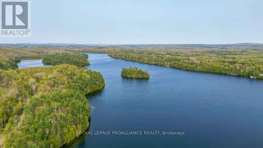 1008b Gordie Lane, North Frontenac, Ontario  K0H 2J0 - Photo 50 - X12019806