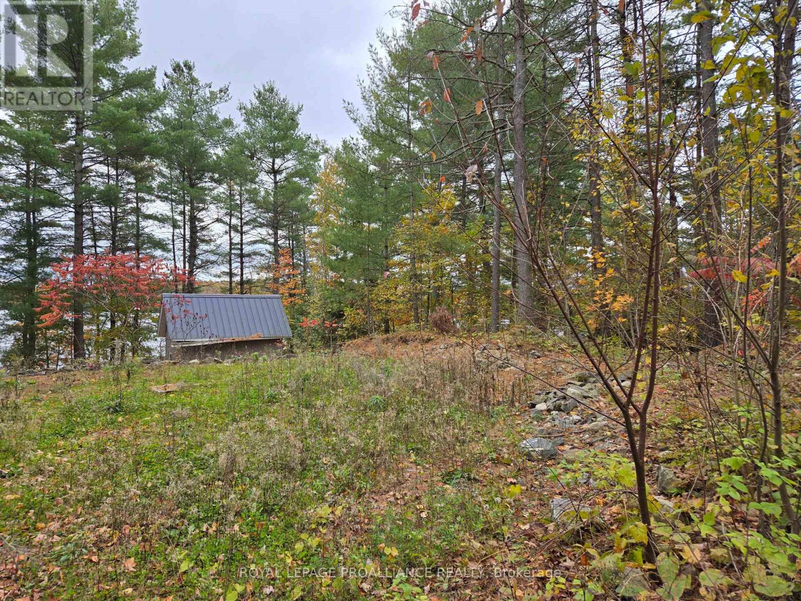 1419 Turtle Lake Lane, North Frontenac, Ontario  K0H 2M0 - Photo 11 - X12019703