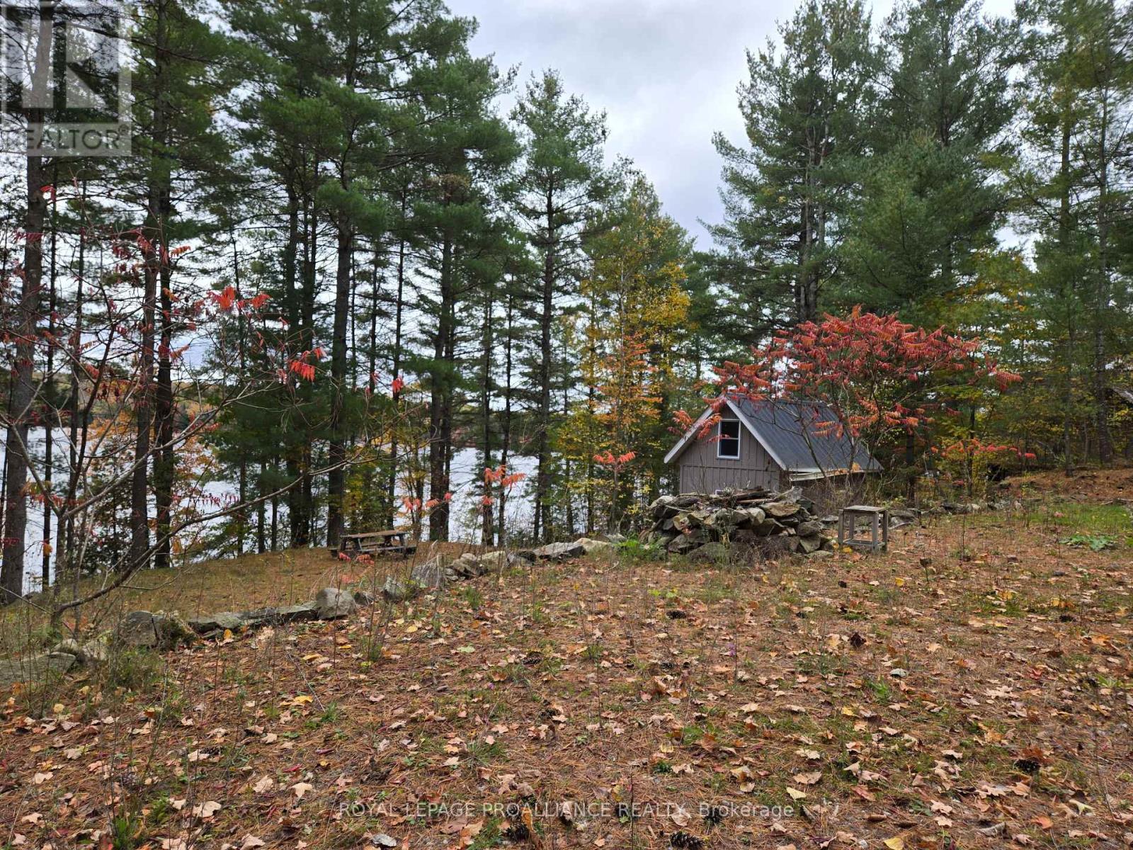 1419 Turtle Lake Lane, North Frontenac, Ontario  K0H 2M0 - Photo 12 - X12019703