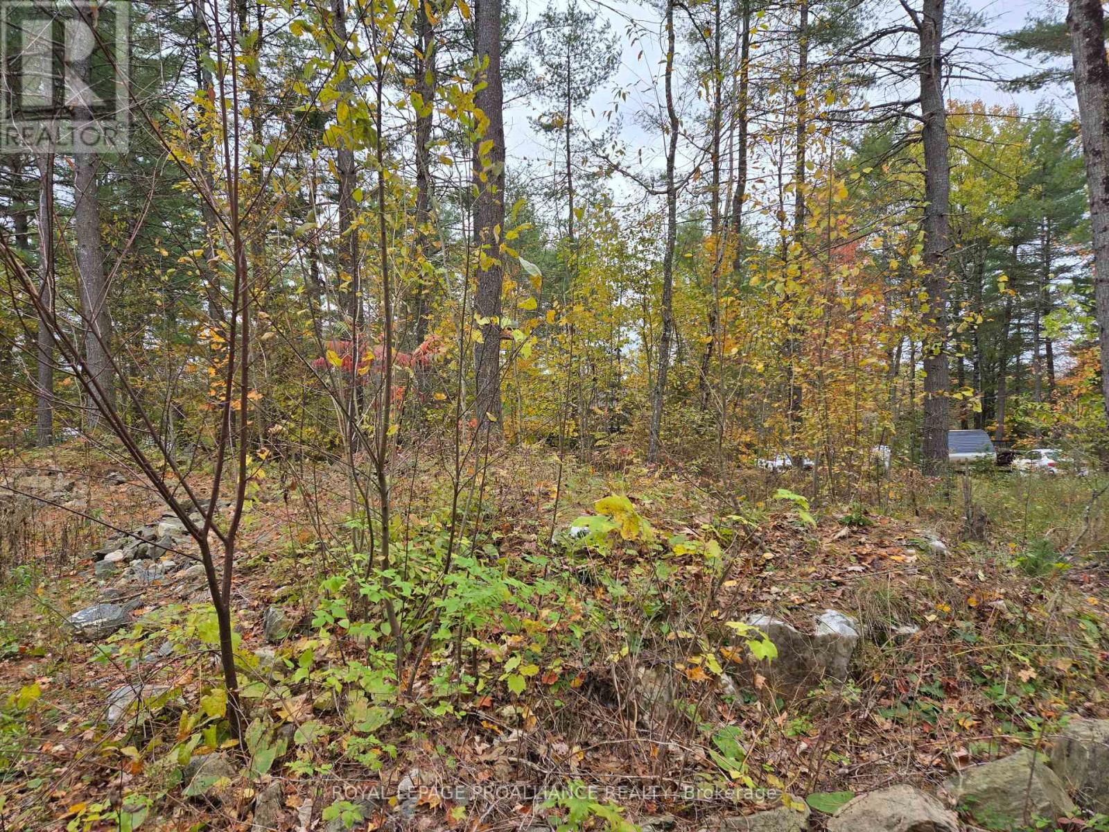 1419 Turtle Lake Lane, North Frontenac, Ontario  K0H 2M0 - Photo 15 - X12019703