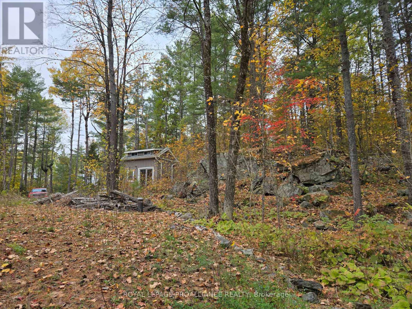 1419 Turtle Lake Lane, North Frontenac, Ontario  K0H 2M0 - Photo 25 - X12019703