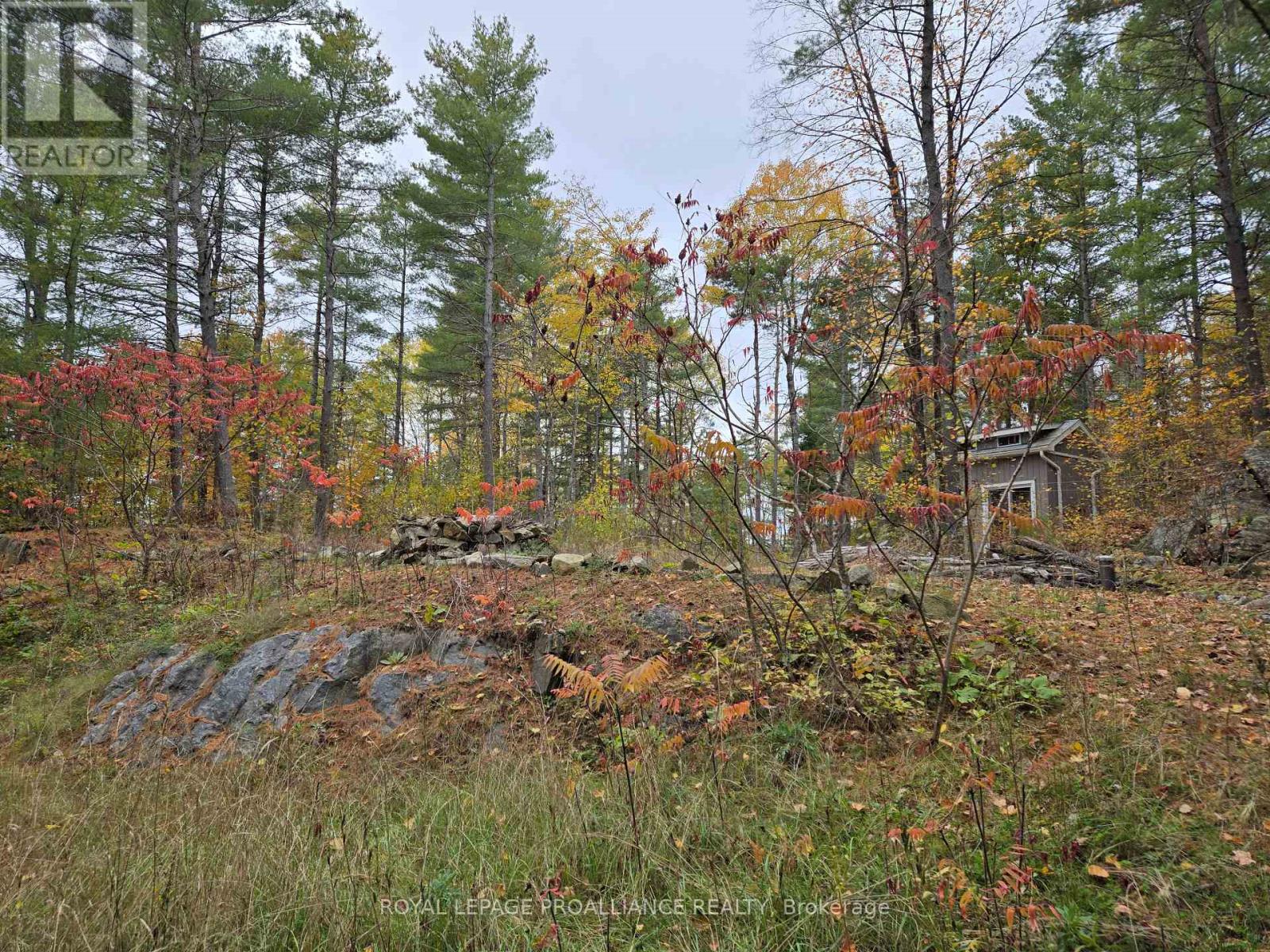 1419 Turtle Lake Lane, North Frontenac, Ontario  K0H 2M0 - Photo 3 - X12019703