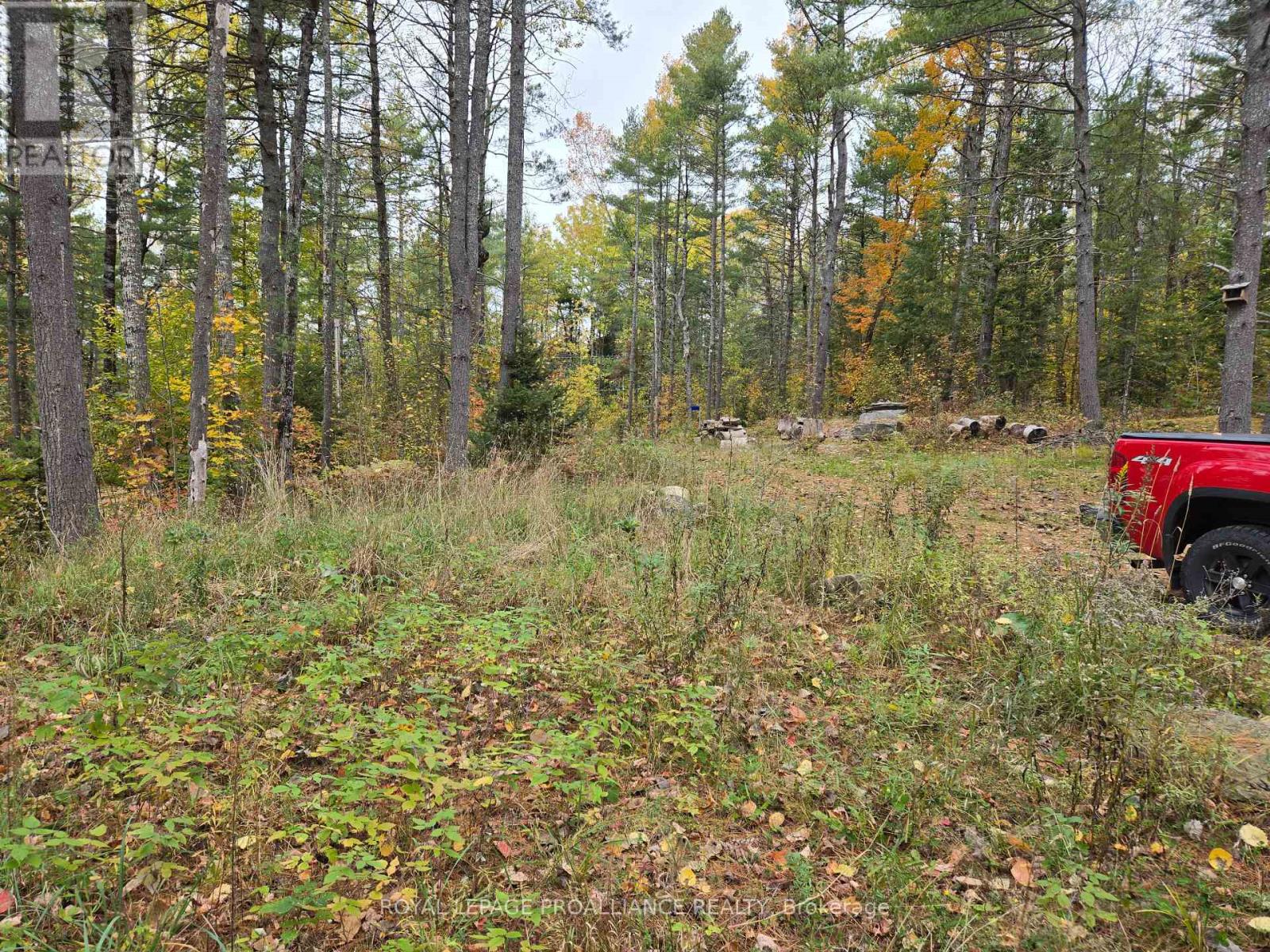1419 Turtle Lake Lane, North Frontenac, Ontario  K0H 2M0 - Photo 33 - X12019703