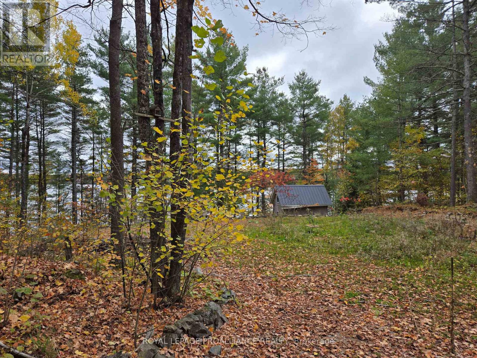 1419 Turtle Lake Lane, North Frontenac, Ontario  K0H 2M0 - Photo 34 - X12019703