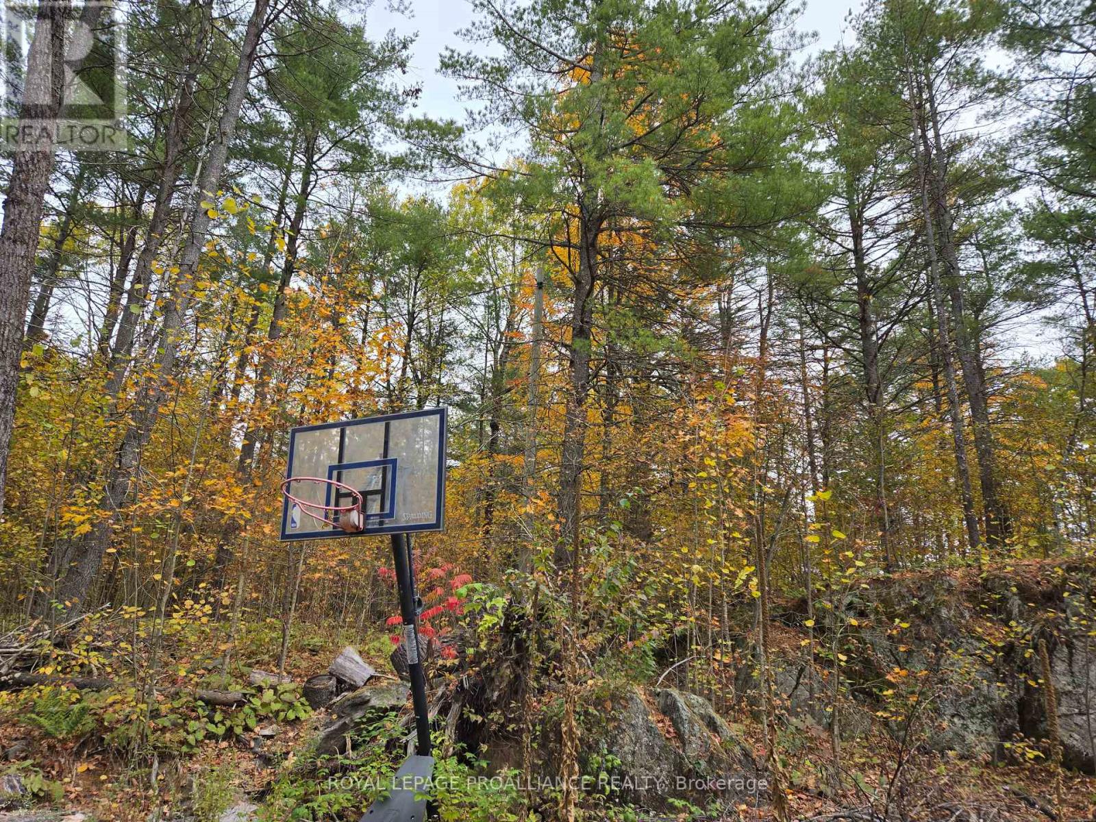 1419 Turtle Lake Lane, North Frontenac, Ontario  K0H 2M0 - Photo 35 - X12019703