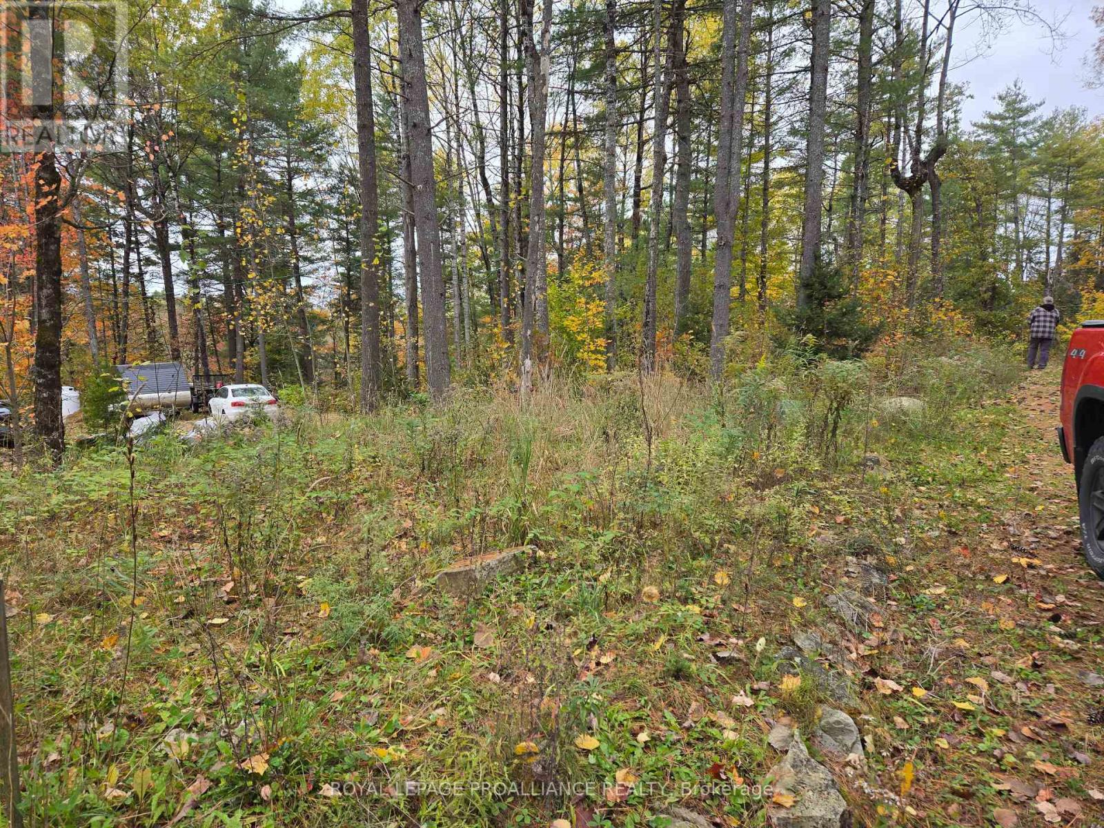 1419 Turtle Lake Lane, North Frontenac, Ontario  K0H 2M0 - Photo 36 - X12019703