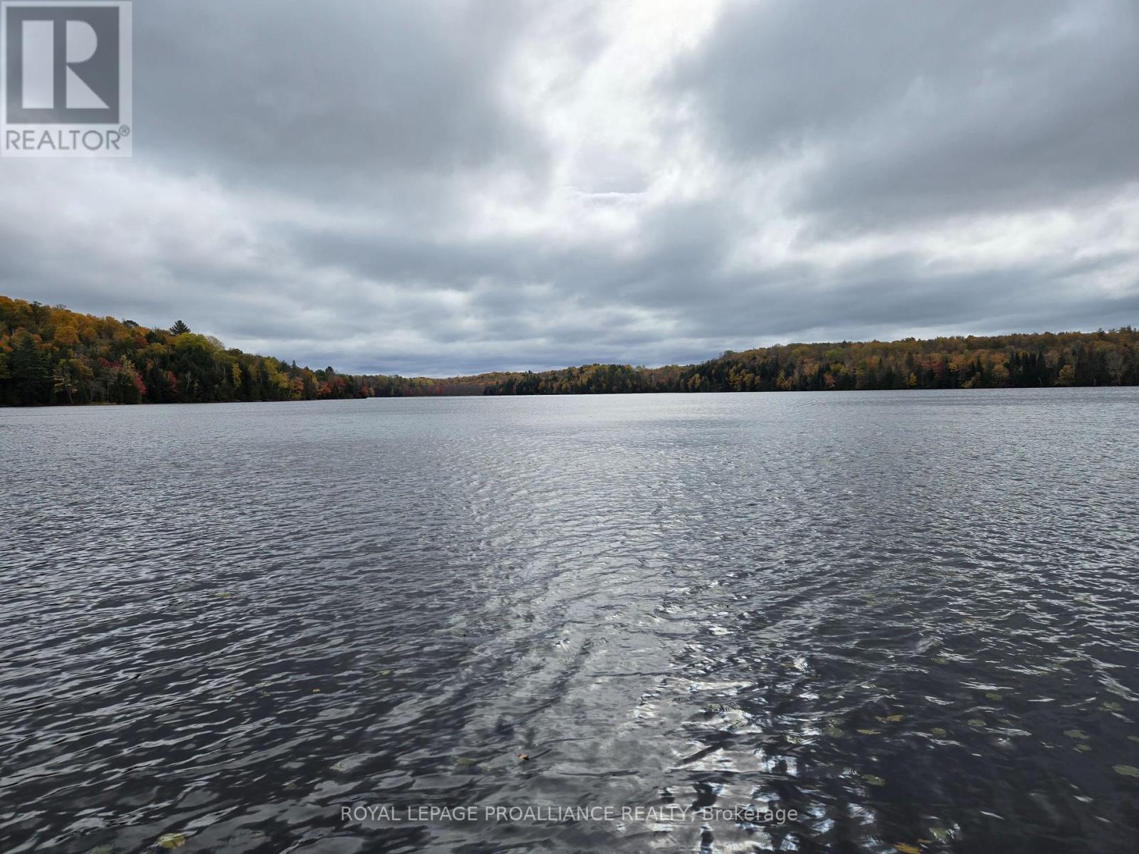 1419 Turtle Lake Lane, North Frontenac, Ontario  K0H 2M0 - Photo 37 - X12019703