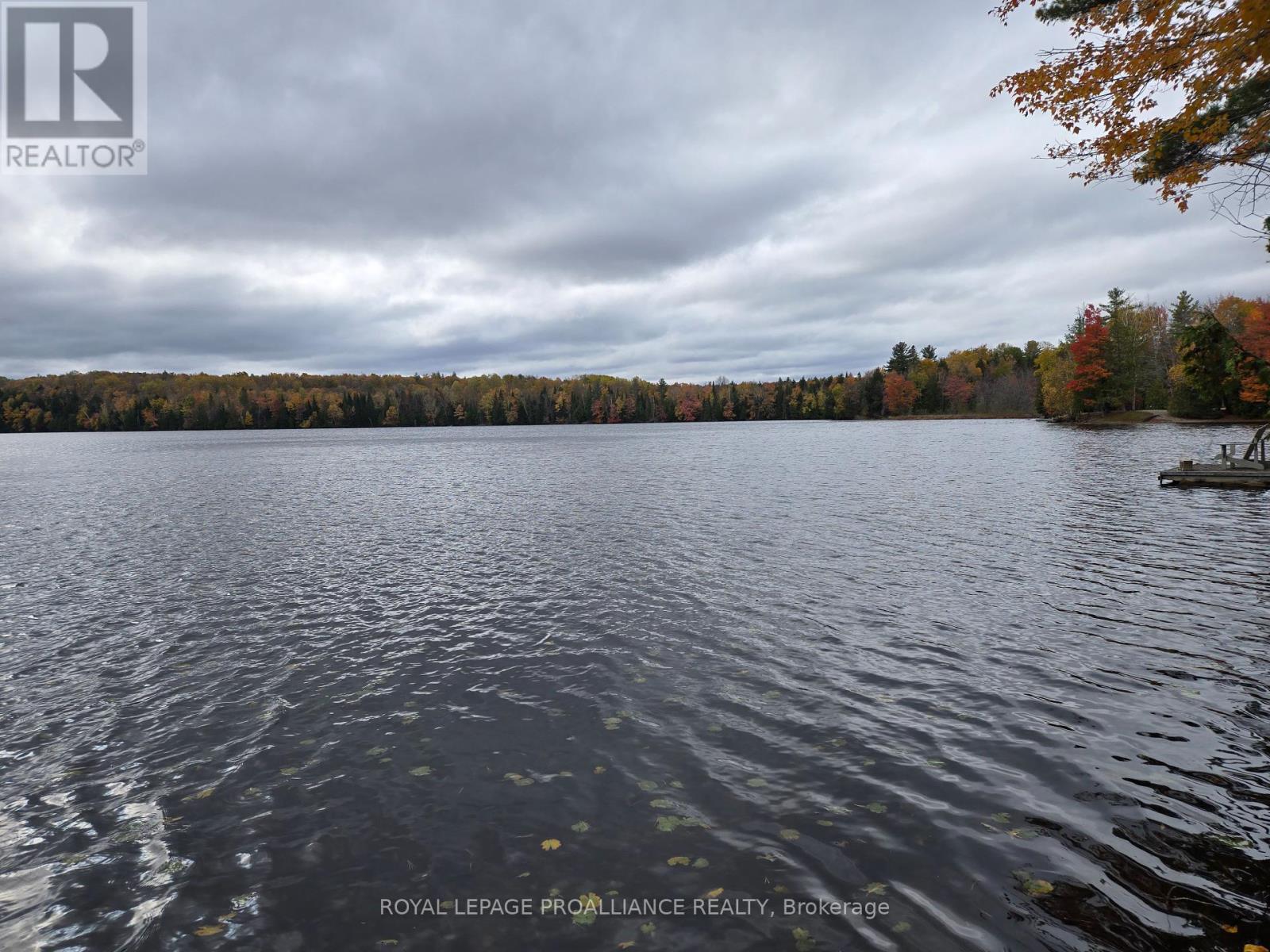 1419 Turtle Lake Lane, North Frontenac, Ontario  K0H 2M0 - Photo 38 - X12019703