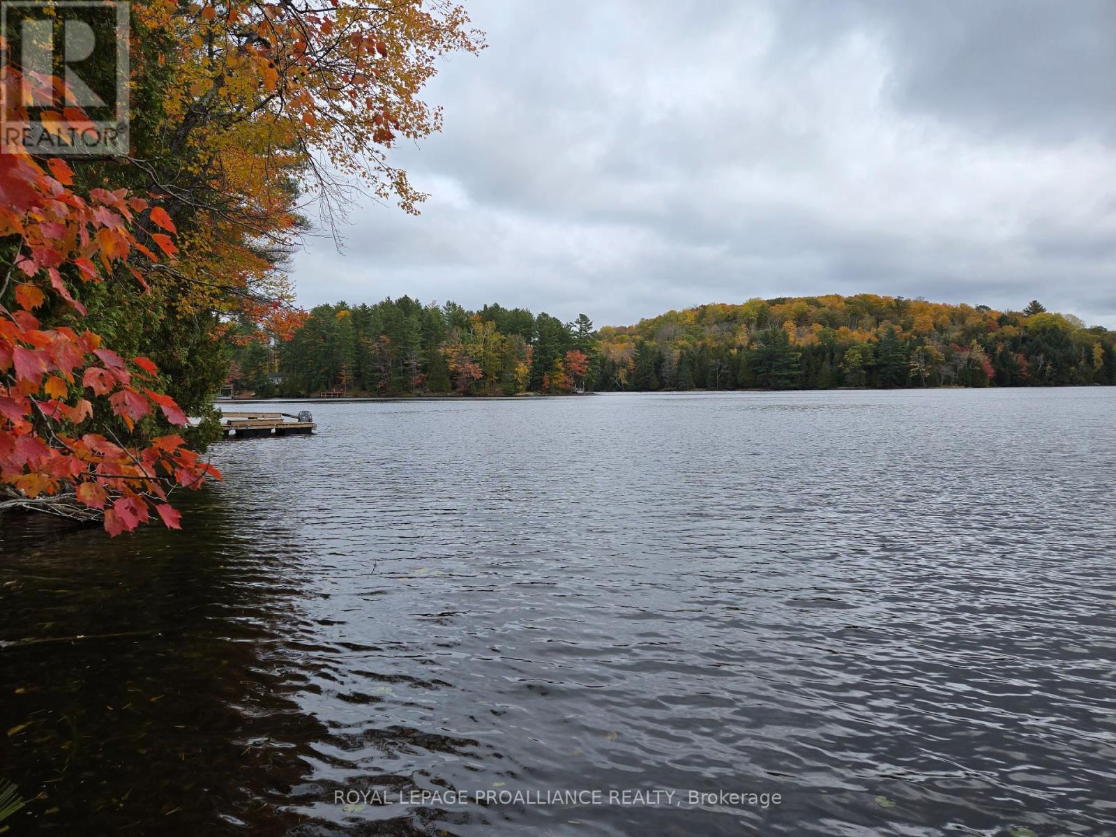 1419 Turtle Lake Lane, North Frontenac, Ontario  K0H 2M0 - Photo 39 - X12019703