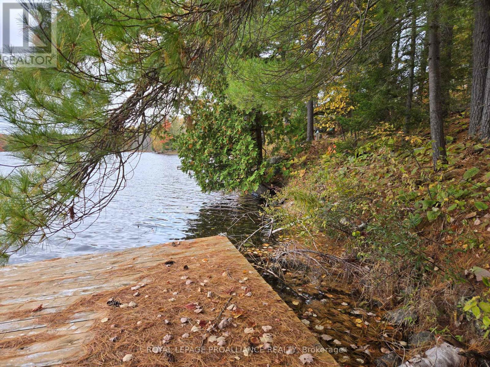 1419 Turtle Lake Lane, North Frontenac, Ontario  K0H 2M0 - Photo 4 - X12019703