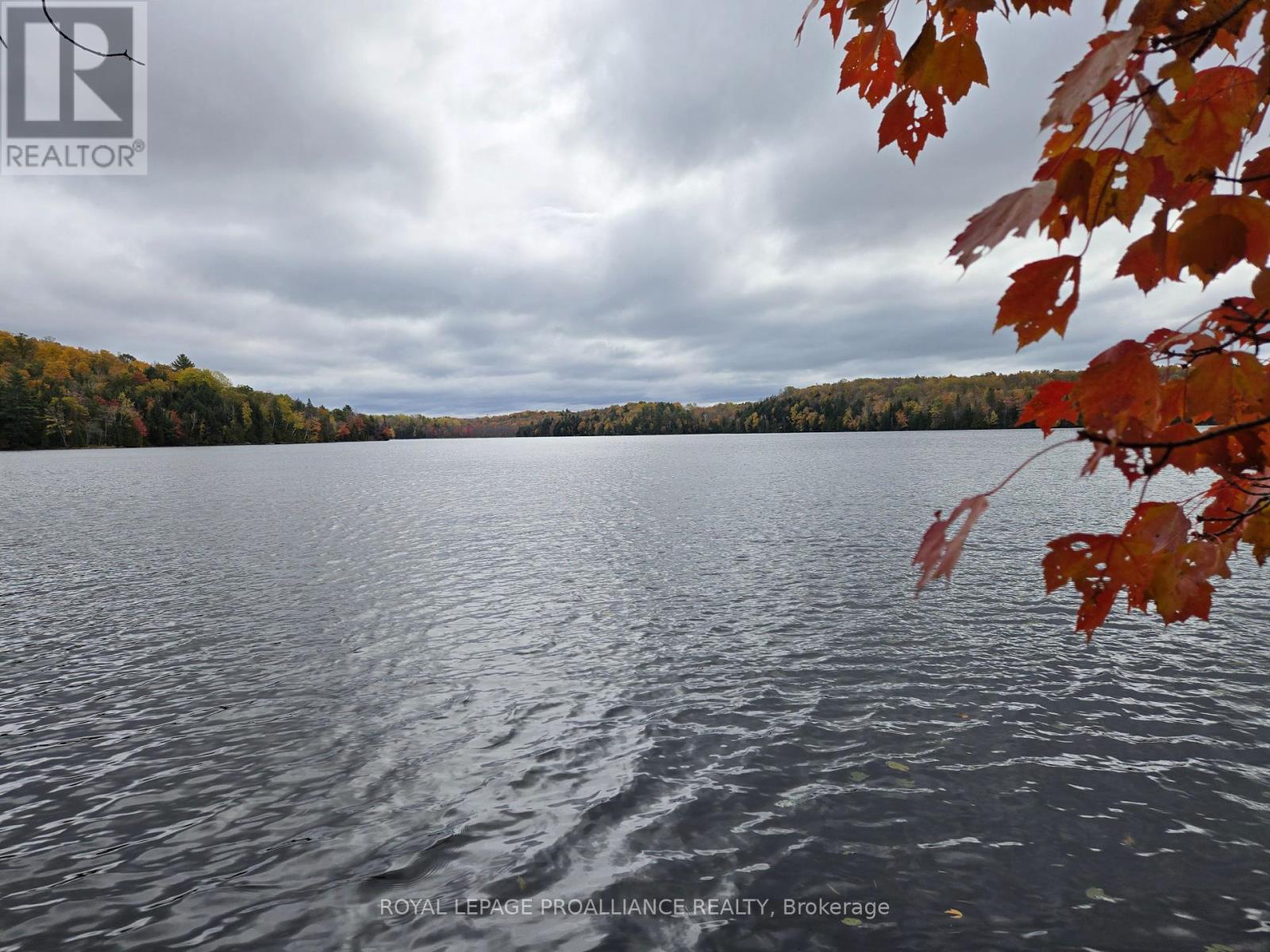 1419 Turtle Lake Lane, North Frontenac, Ontario  K0H 2M0 - Photo 40 - X12019703