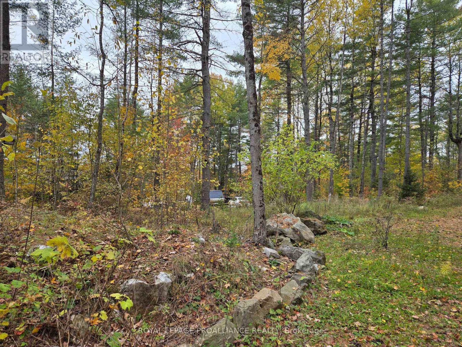 1419 Turtle Lake Lane, North Frontenac, Ontario  K0H 2M0 - Photo 5 - X12019703