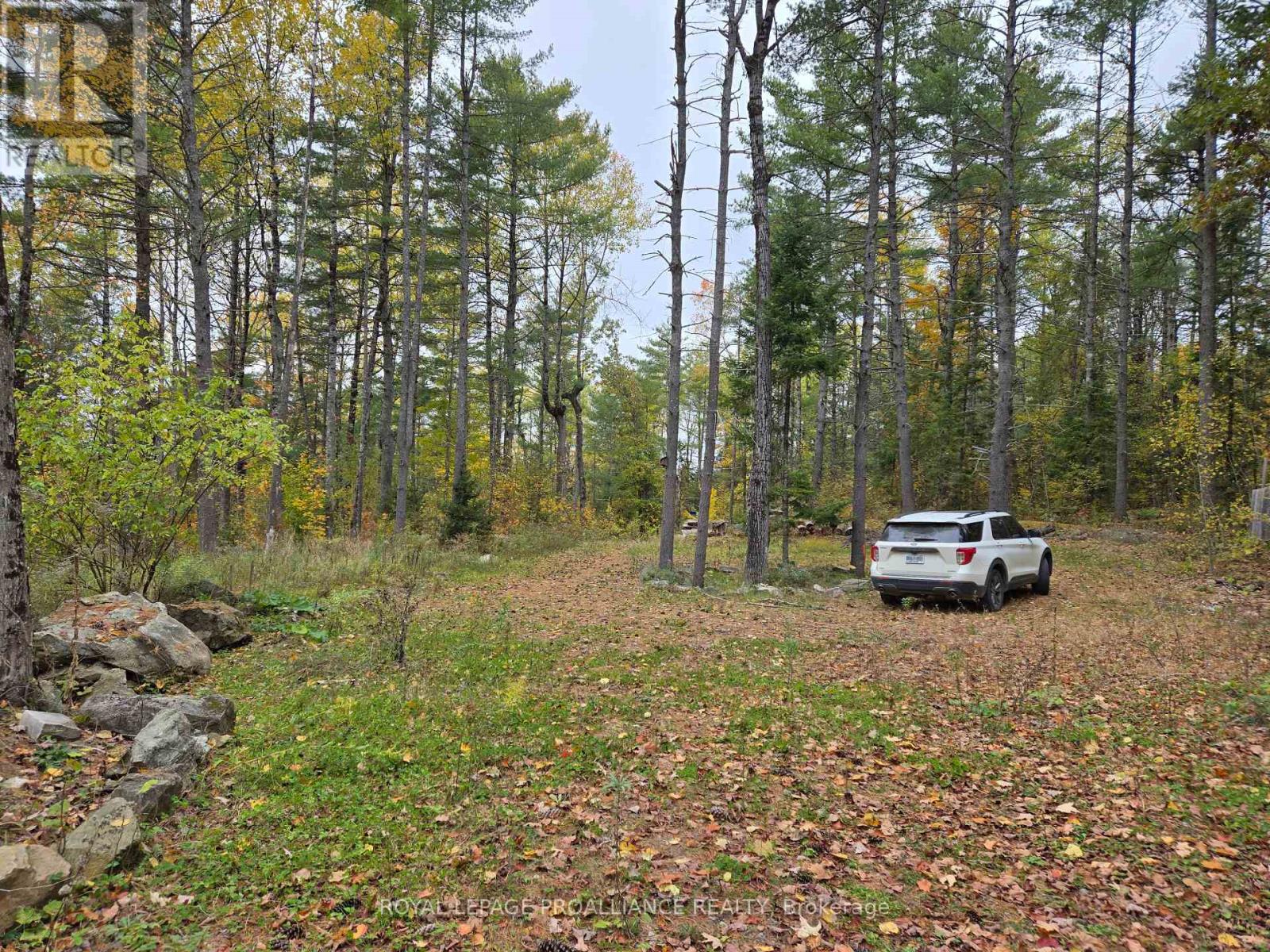 1419 Turtle Lake Lane, North Frontenac, Ontario  K0H 2M0 - Photo 8 - X12019703