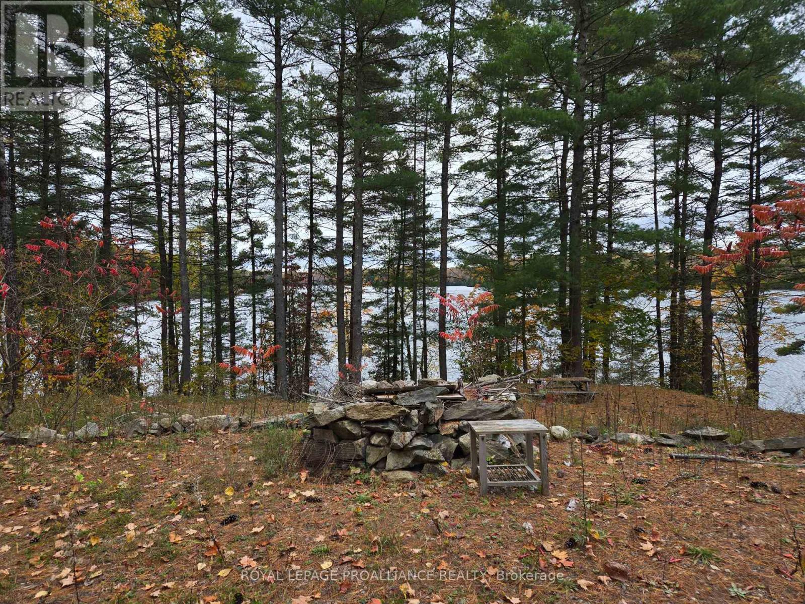 1419 Turtle Lake Lane, North Frontenac, Ontario  K0H 2M0 - Photo 9 - X12019703