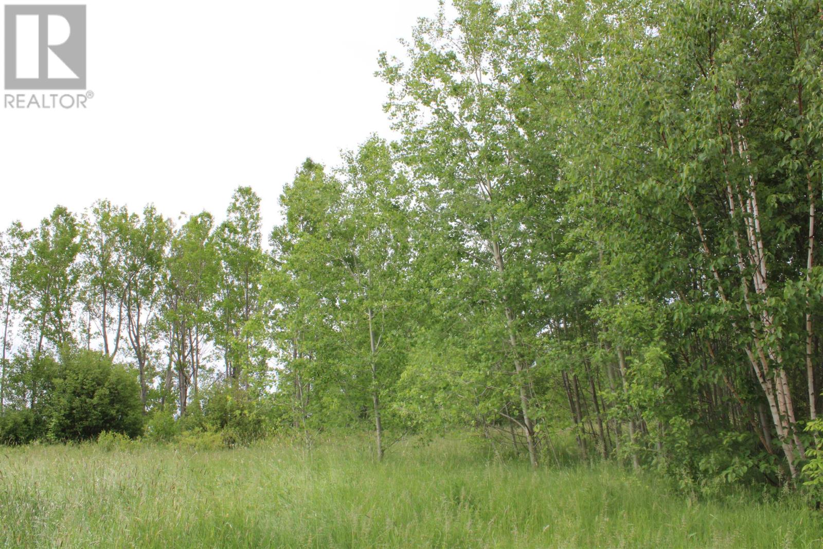 Granville Road, Karsdale, Nova Scotia  B0S 1A0 - Photo 17 - 202504915