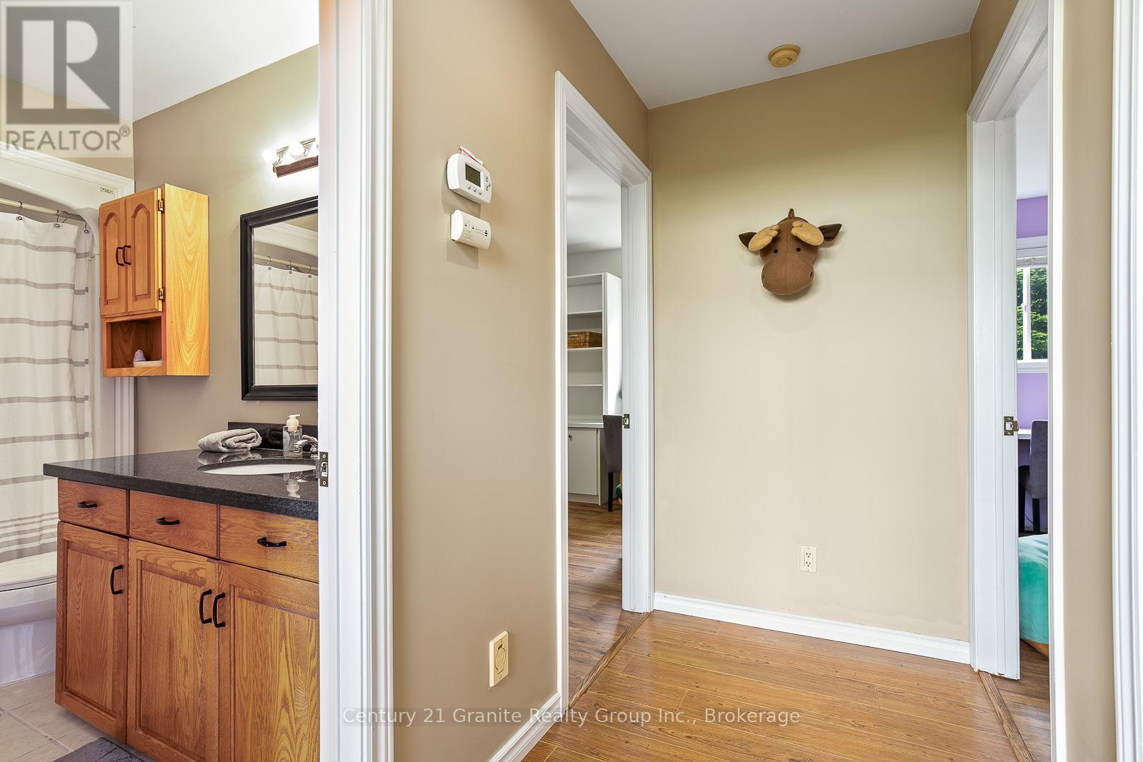 53 South Mountain Road, Kawartha Lakes, Ontario  K0M 2B0 - Photo 20 - X12019947