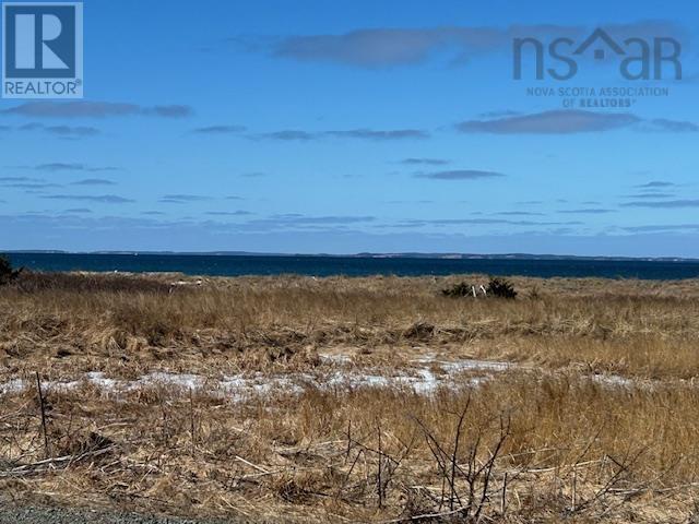 403 Shore Road, Lower L'ardoise, Nova Scotia  B0E 1W0 - Photo 3 - 202504920