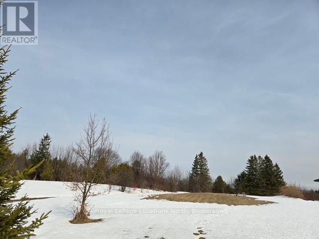 135 Scotia Drive, Meaford, Ontario  N4L 0A7 - Photo 18 - X12020149