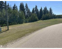 4, 53120 RGE ROAD 15 The Views at Willow Peak