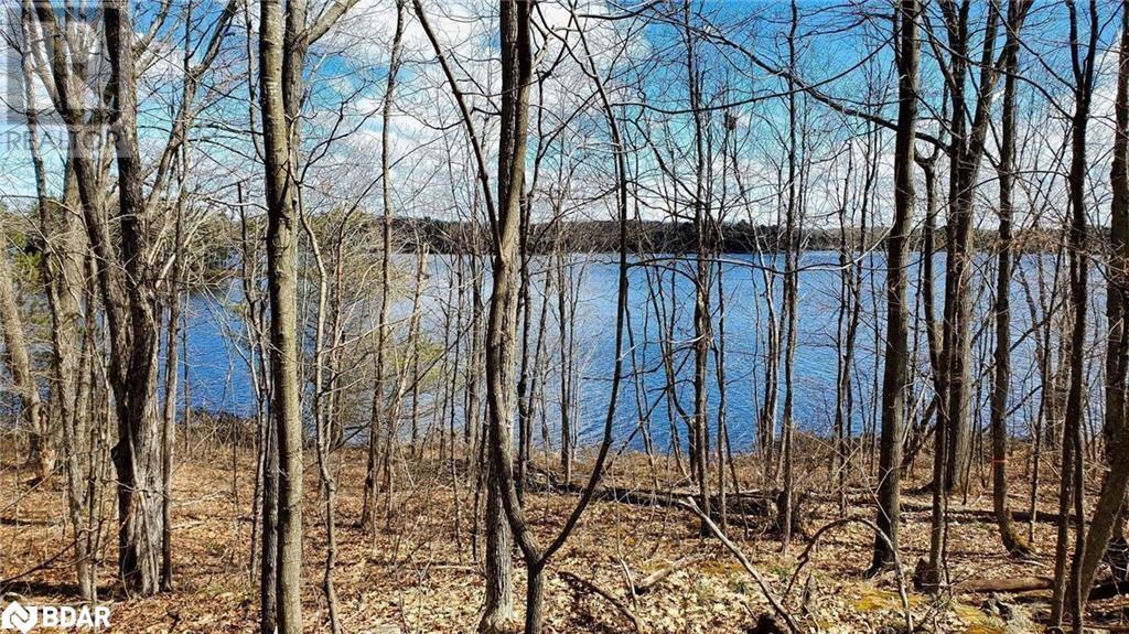 18 Hawkins Point Road, Georgian Bay, Ontario  P0C 1H0 - Photo 3 - 40700931