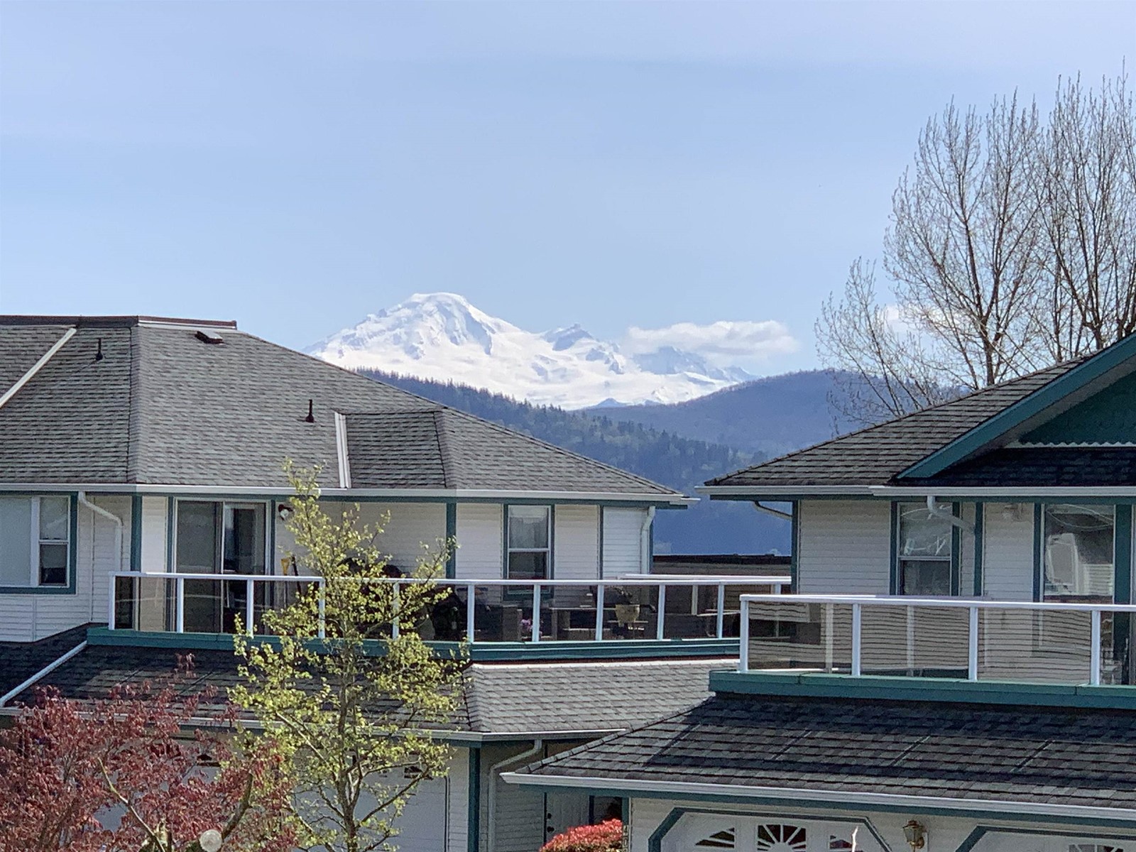 402 7500 Columbia Street, Mission, British Columbia  V2V 4C1 - Photo 3 - R2978006
