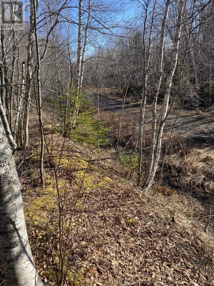 Old Halifax Road, Salt Springs, Nova Scotia  B0M 1X0 - Photo 3 - 202504931