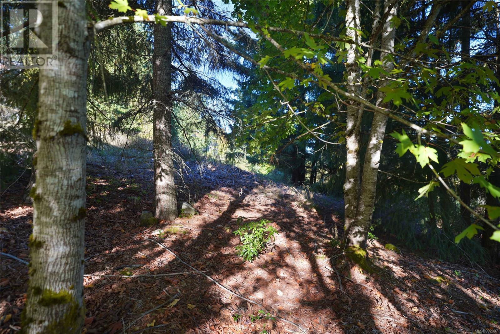 Sl 22 Bishops Walk Rd, Salt Spring, British Columbia  V8K 2J7 - Photo 4 - 992087