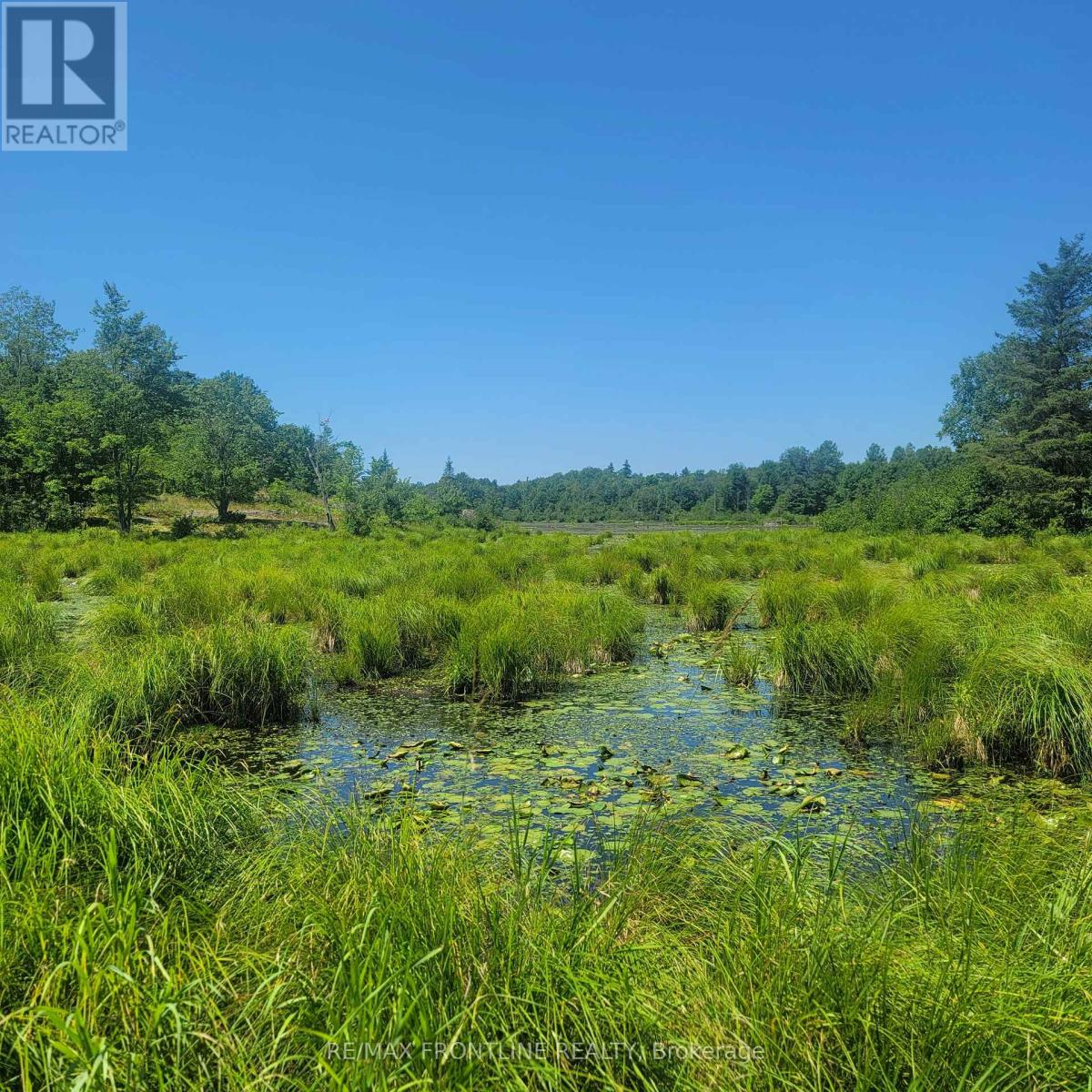 Lot 26 Oak Lane, Tay Valley, Ontario  K0H 2B0 - Photo 3 - X12020252