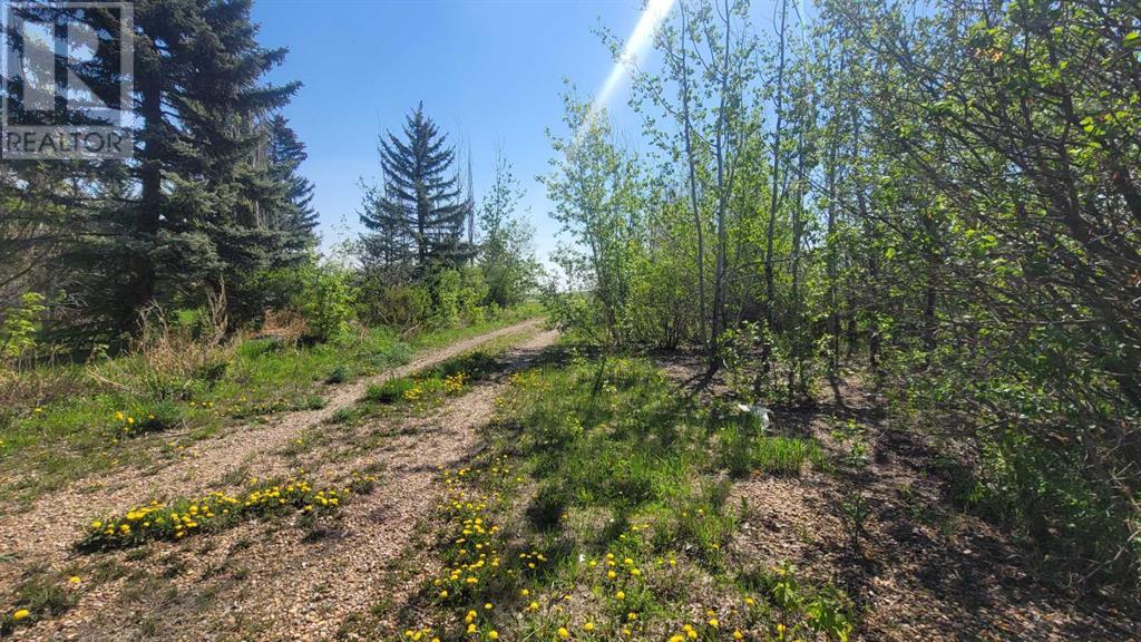 39114 Highway 36, Rural Paintearth No. 18, Alberta  T0C 0X0 - Photo 16 - A2201874