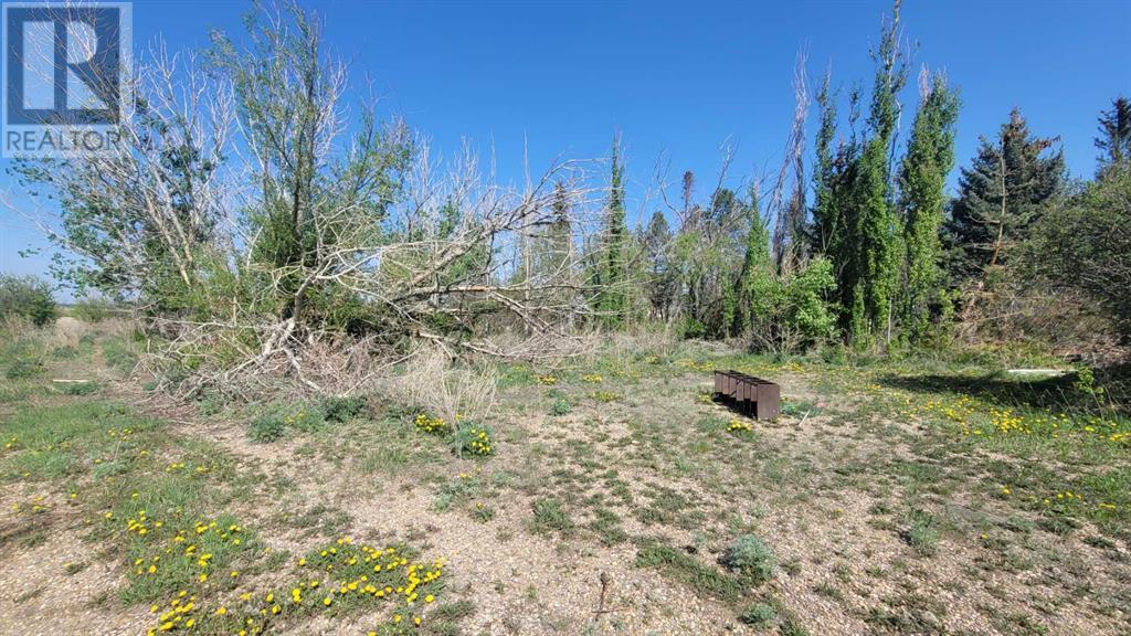 39114 Highway 36, Rural Paintearth No. 18, Alberta  T0C 0X0 - Photo 15 - A2201874