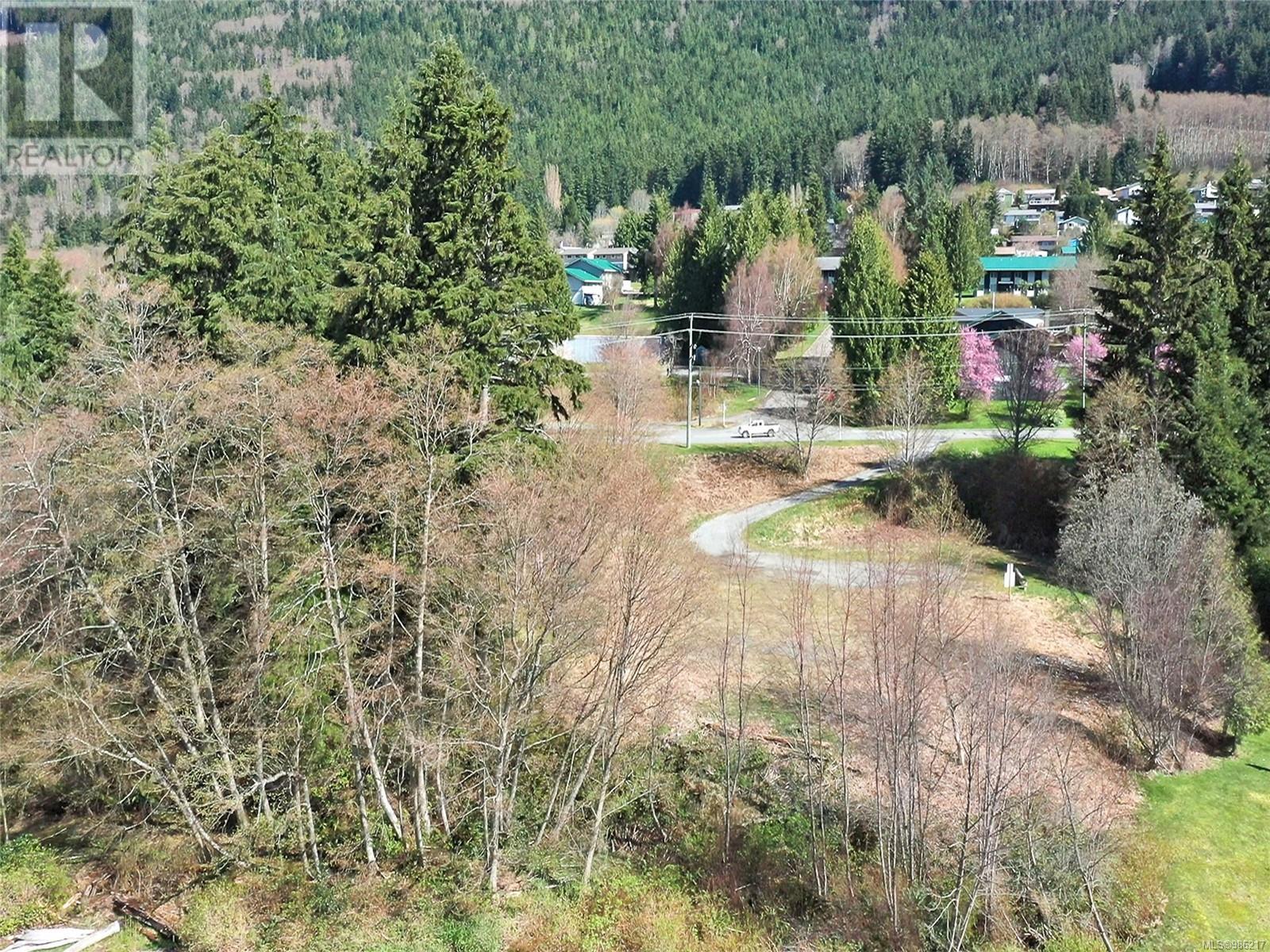 Lot A Marine Dr, Port Alice, British Columbia  V0N 2N0 - Photo 11 - 986217
