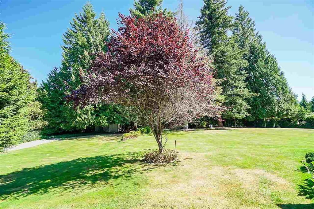 10194 173 Street, Surrey, British Columbia  V4N 4H8 - Photo 6 - C8067536