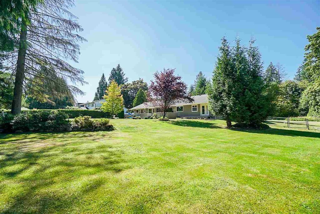 10194 173 Street, Surrey, British Columbia  V4N 4H8 - Photo 7 - C8067536